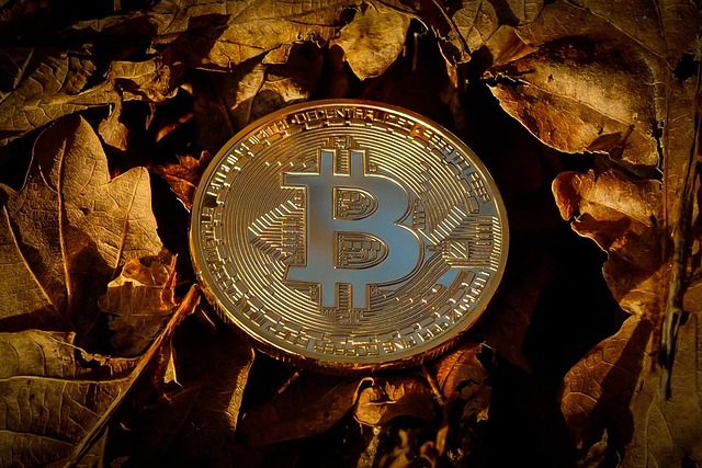 Comprendre les bases du bitcoin en 10 minutes