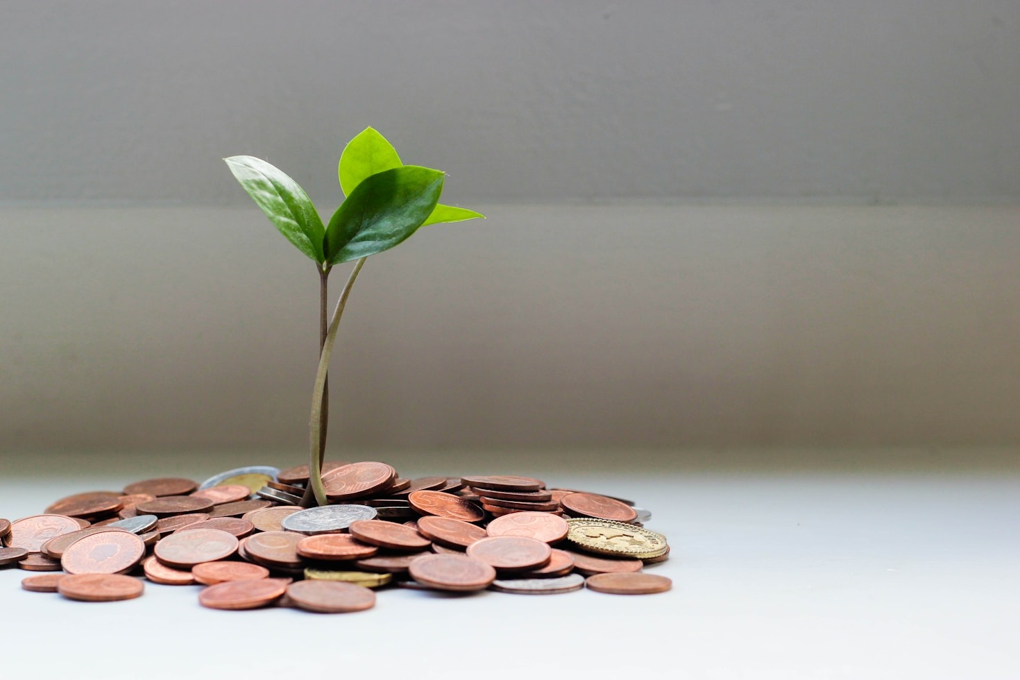 Les avantages de diversifier votre portfolio crypto